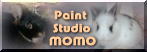 Paint Studio MOMO